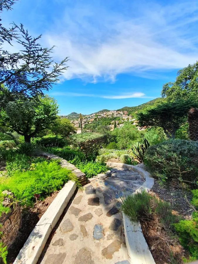 Appartamento Appartements Dans Villa En Rez De Jardin Hyères
